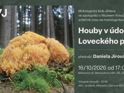 Houby v údolí Loveckého potoka – fotografie 1
